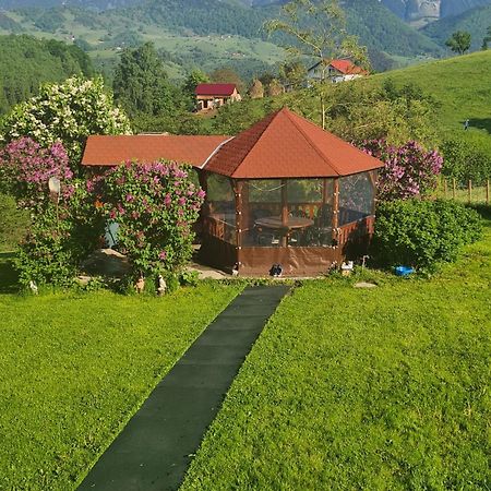 Nona Highland Home Moieciu de Jos Exterior foto