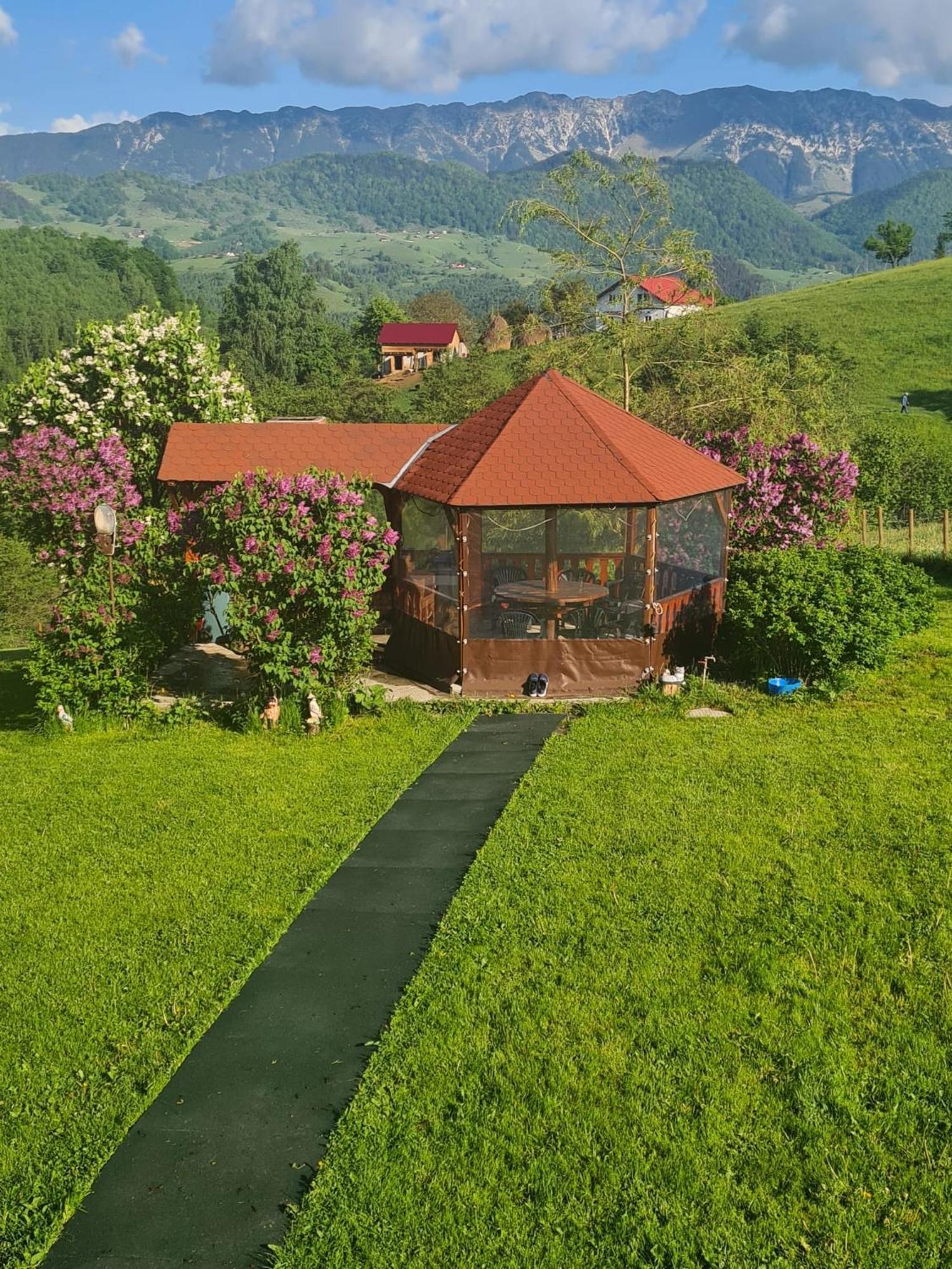Nona Highland Home Moieciu de Jos Exterior foto
