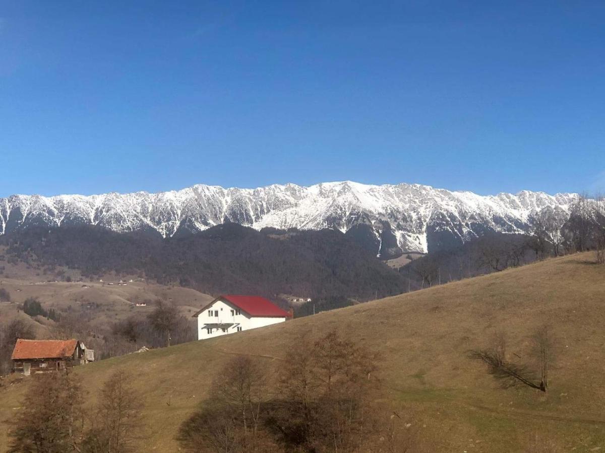 Nona Highland Home Moieciu de Jos Exterior foto
